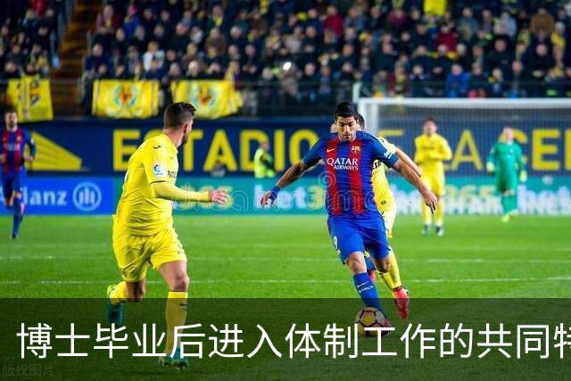 博士毕业后进入体制工作的共同特征分析