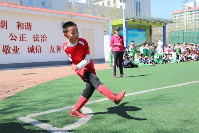 挪威足协调整发布会阵容 避免哈兰德面临媒体提问